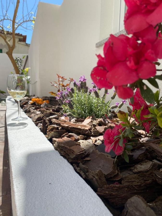 Casas Dos Seixos Villa Moledo  Eksteriør billede